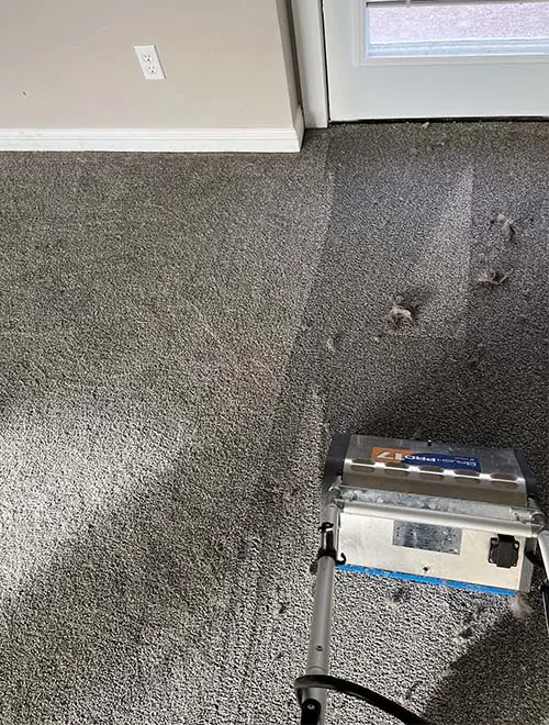 Deep Clean with heavy duty carpet cleaning equipment from willing and able carpet cleaning
